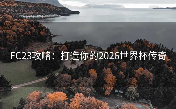 FC23攻略：打造你的2026世界杯传奇